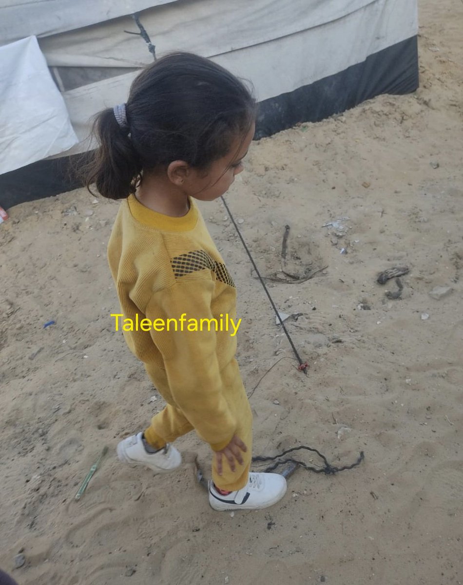 Taleen Family 🍉 tweet media