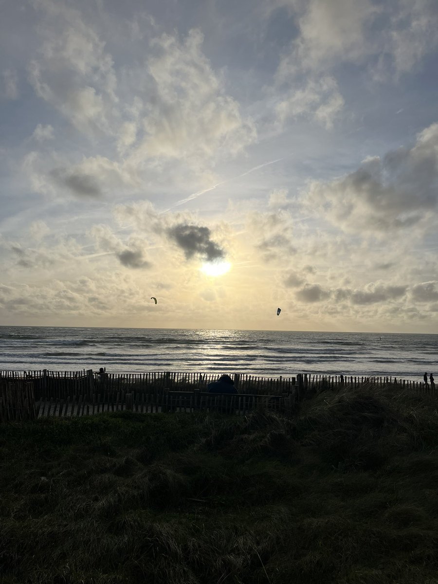 diana 🕸 tweet media