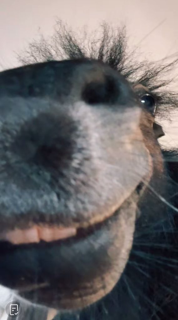 ▫️TEV▫️ tweet media