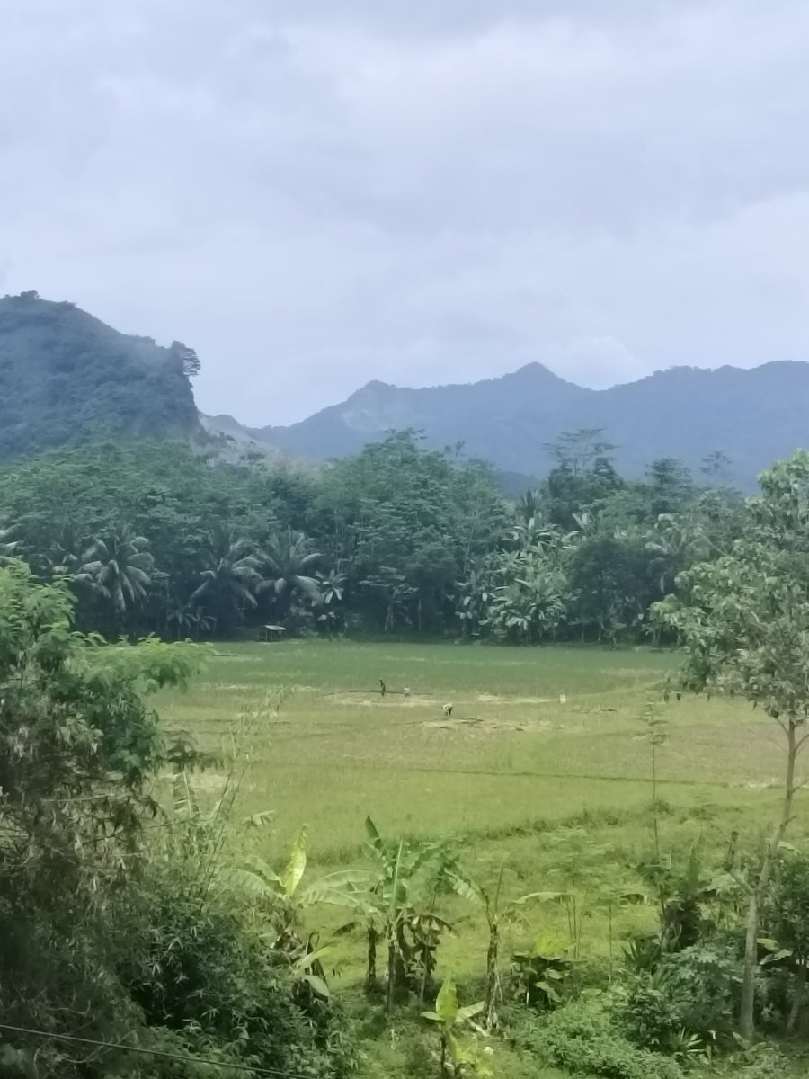 ୨୧ Lia 🐨⃢🐹⃢🐱⃢🐿️⃢🐥⃢🐻⃢🐰 tweet media