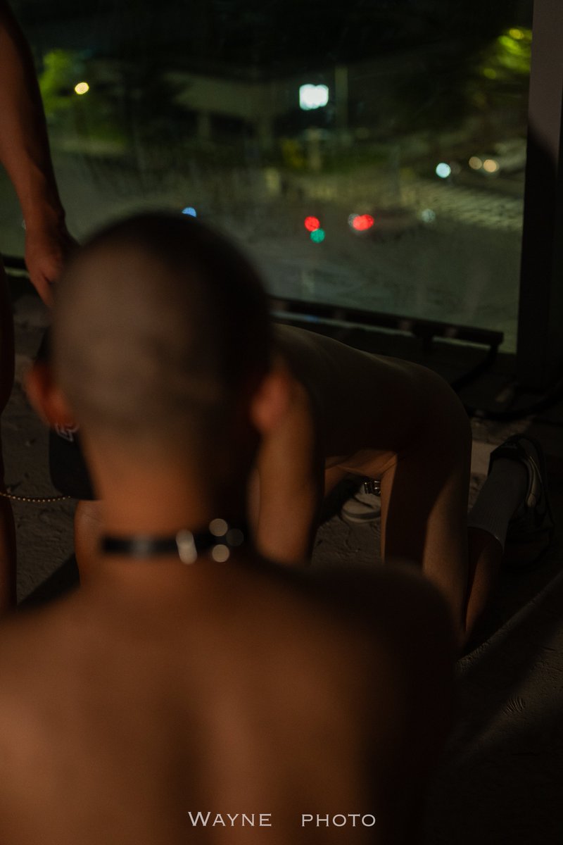 菠萝是黄色的 tweet media