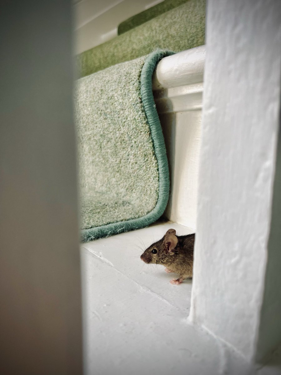 Tom Sander 🚴 tweet media