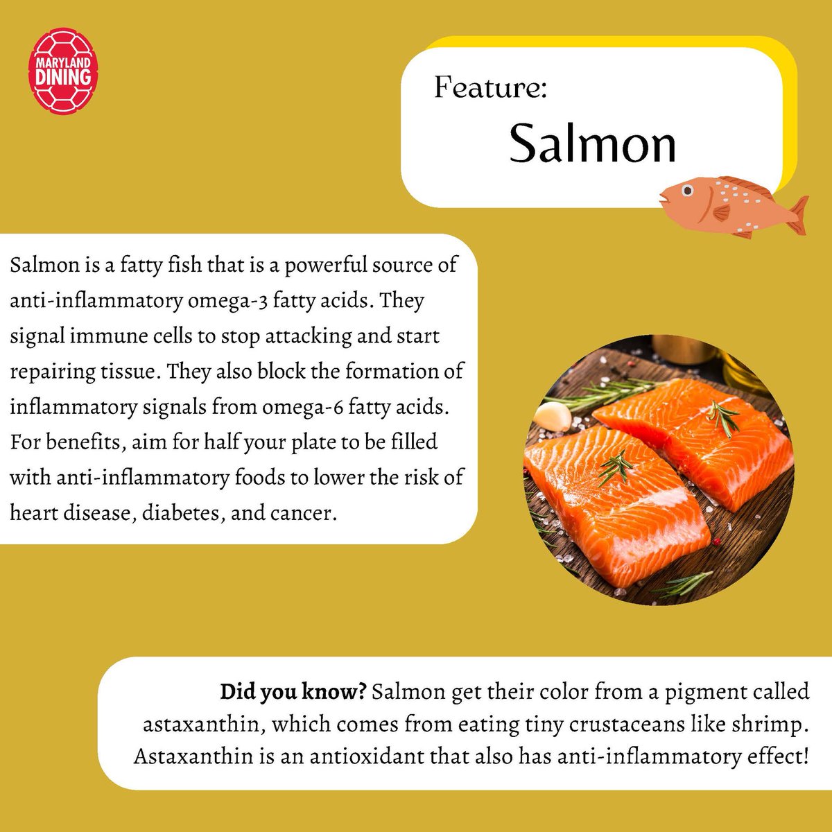 Maryland Dining tweet media