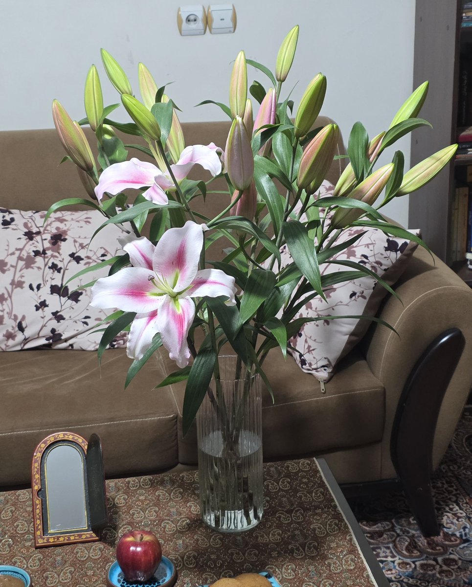 🇮🇷درویش دل‌رمیده tweet media