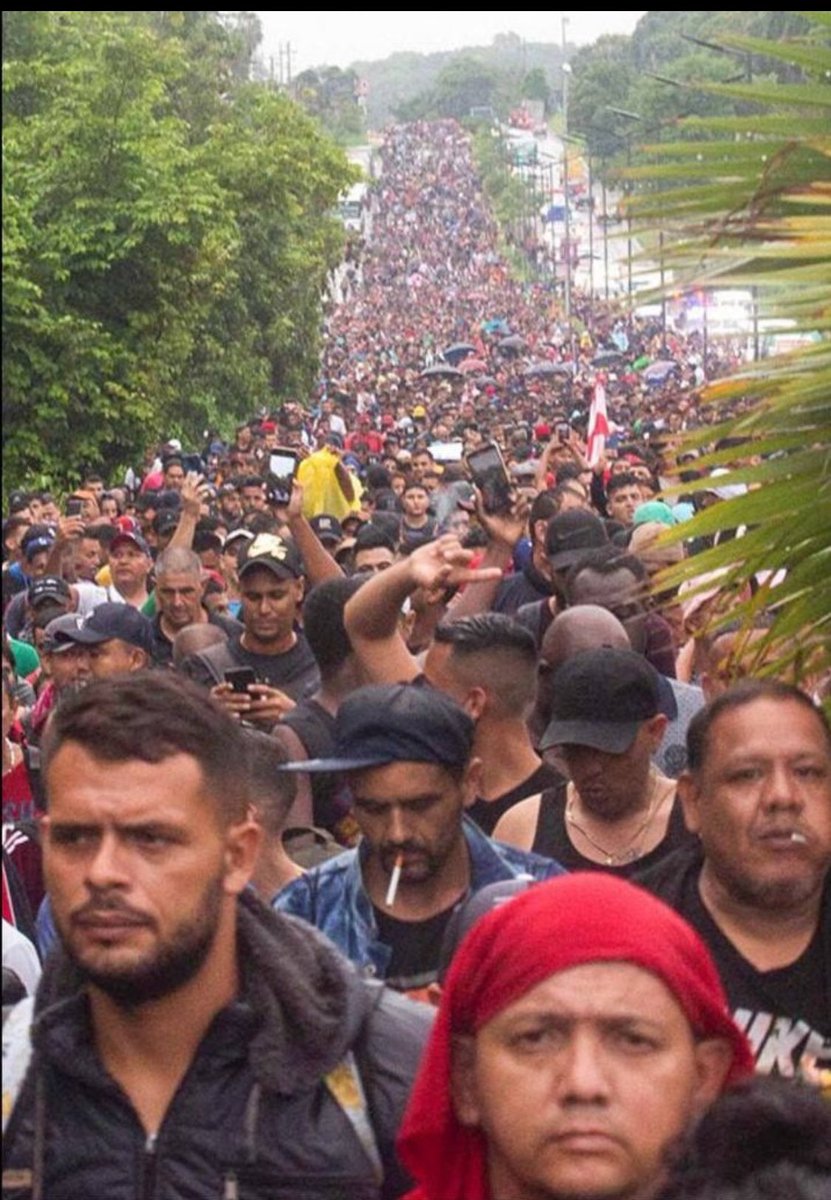 Rosey McDonald tweet media