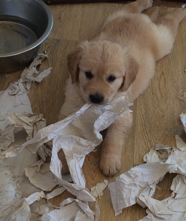 해통시 tweet media