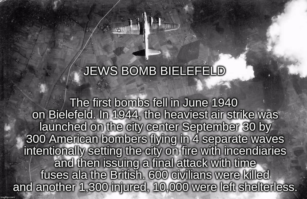 Fashbird1933 tweet media