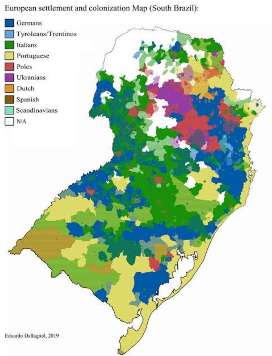 My Latin Life 🌴 tweet media
