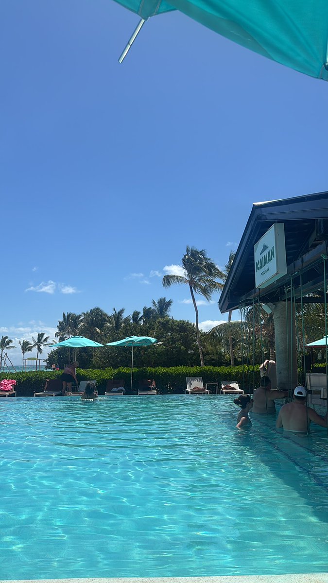 Yellow Bird tweet media