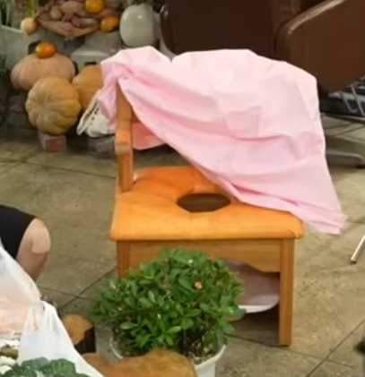 ✩ 🪭 tweet media