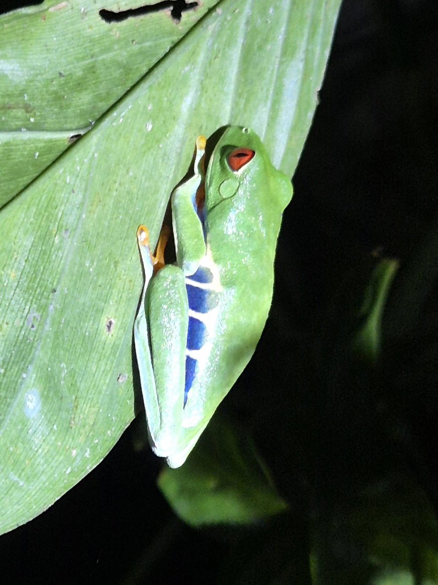 mick davis tweet media