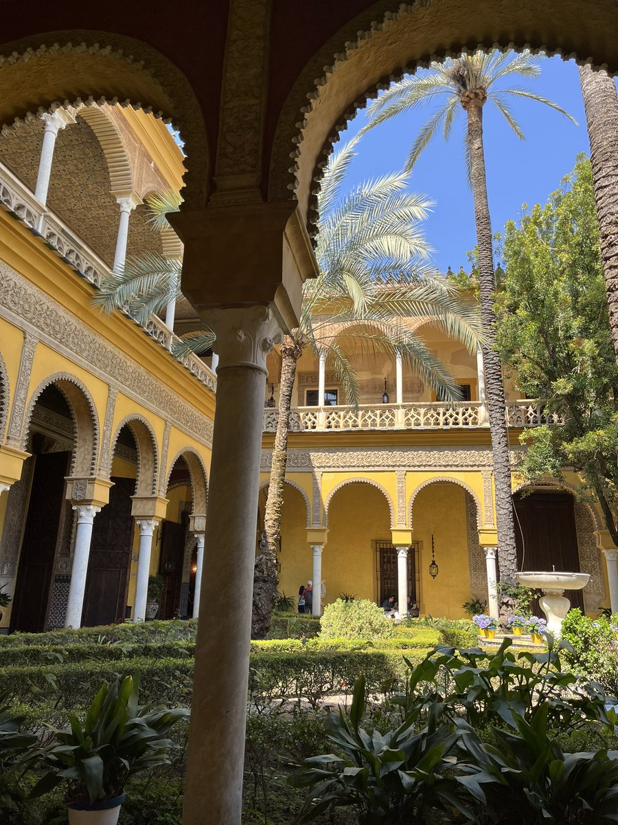 полин, переведи? tweet media