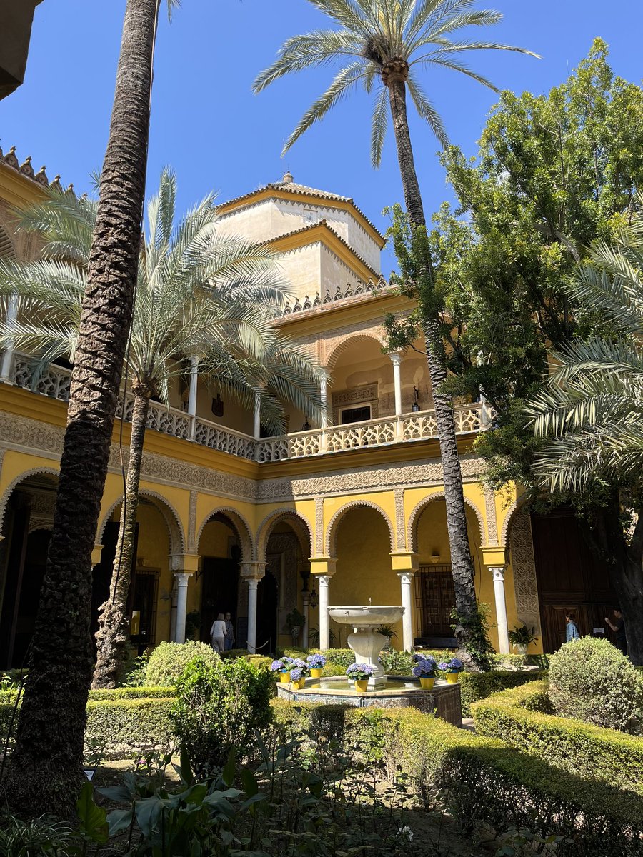 полин, переведи? tweet media