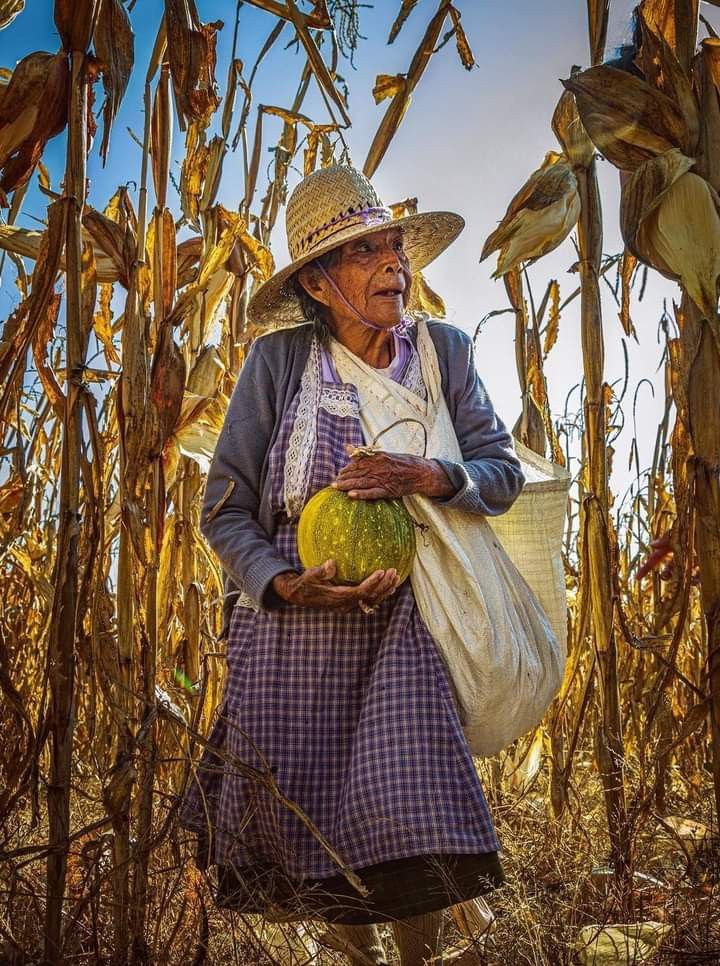 @Maria_Kessler14 tweet media