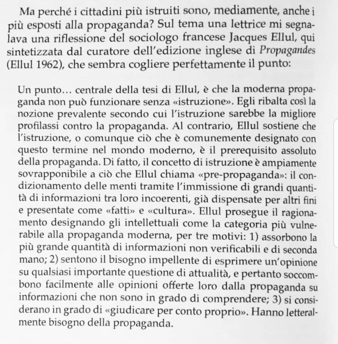 Allegra Bonomi tweet media