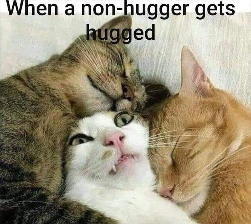 Philly Anthony tweet media