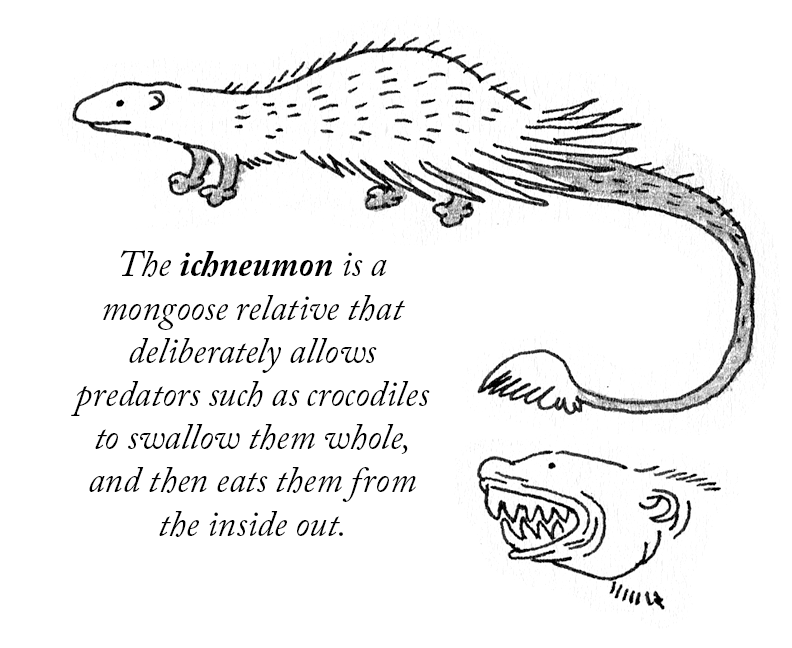 Andrés L. Mignucci tweet media