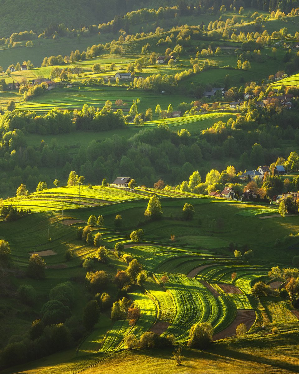 The Earth tweet media