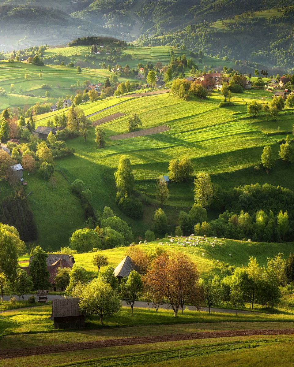 The Earth tweet media