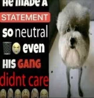 windwolf tweet media