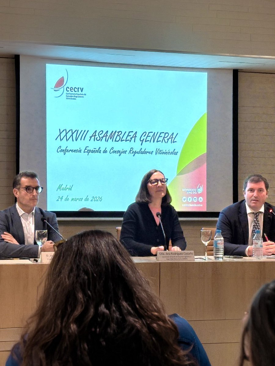 Manchuela Denominación de Origen tweet media