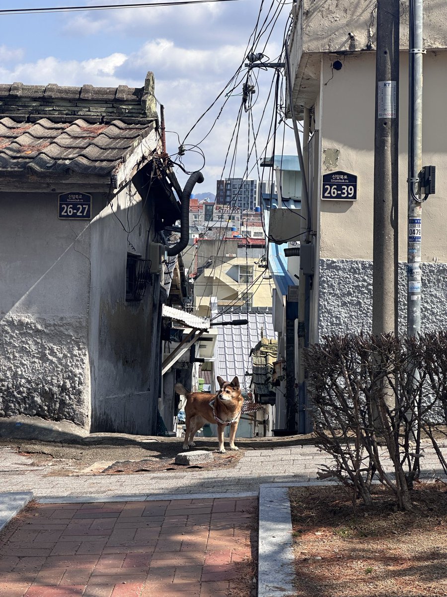 굴뚝07 tweet media