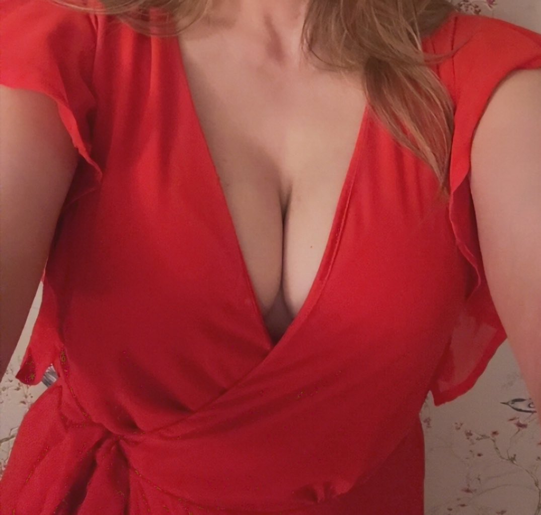 TorbayKitten tweet media