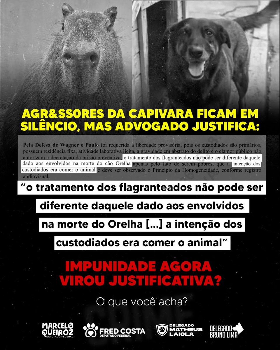 Delegado Matheus Laiola tweet media