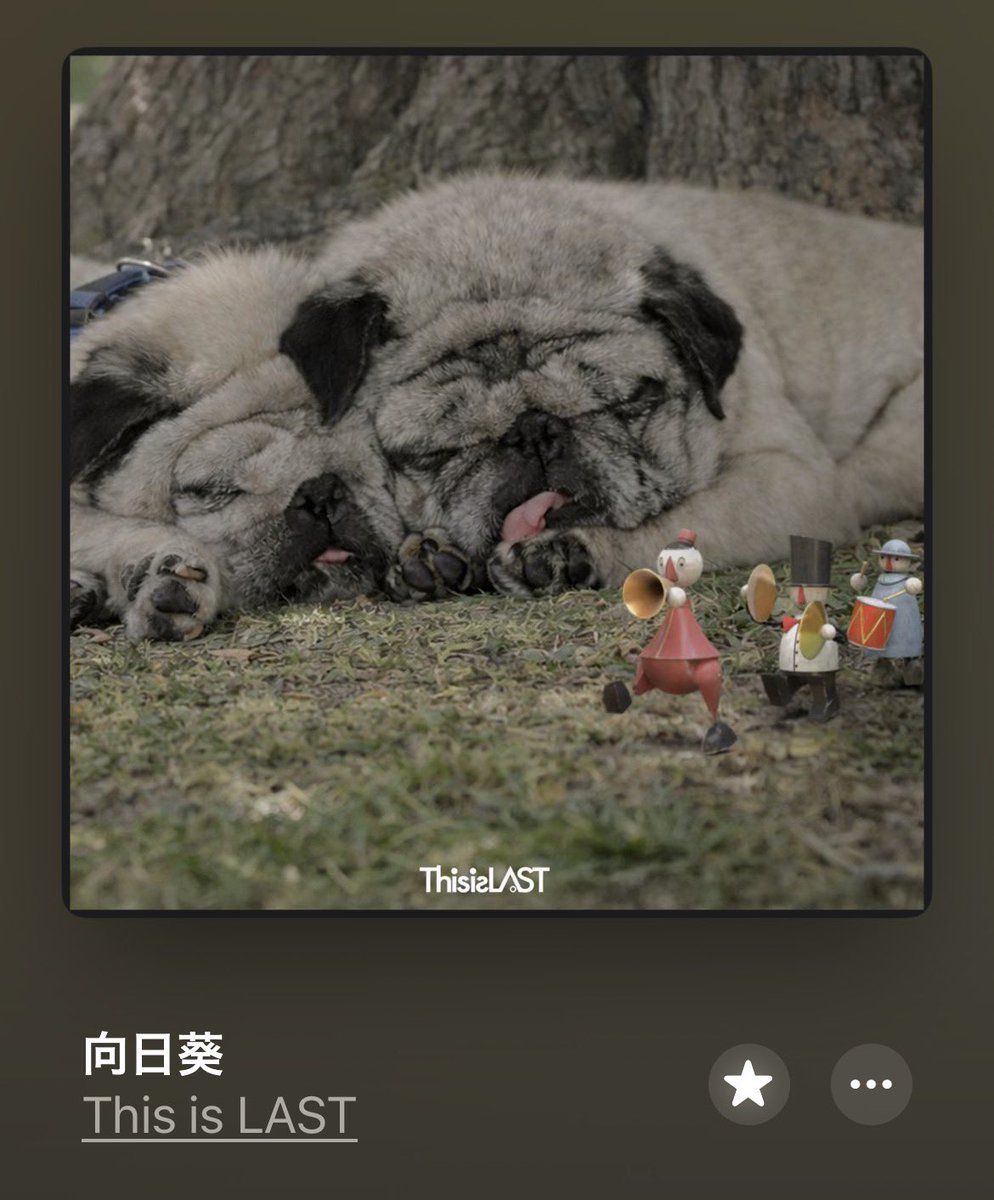 てる / This is LAST tweet media