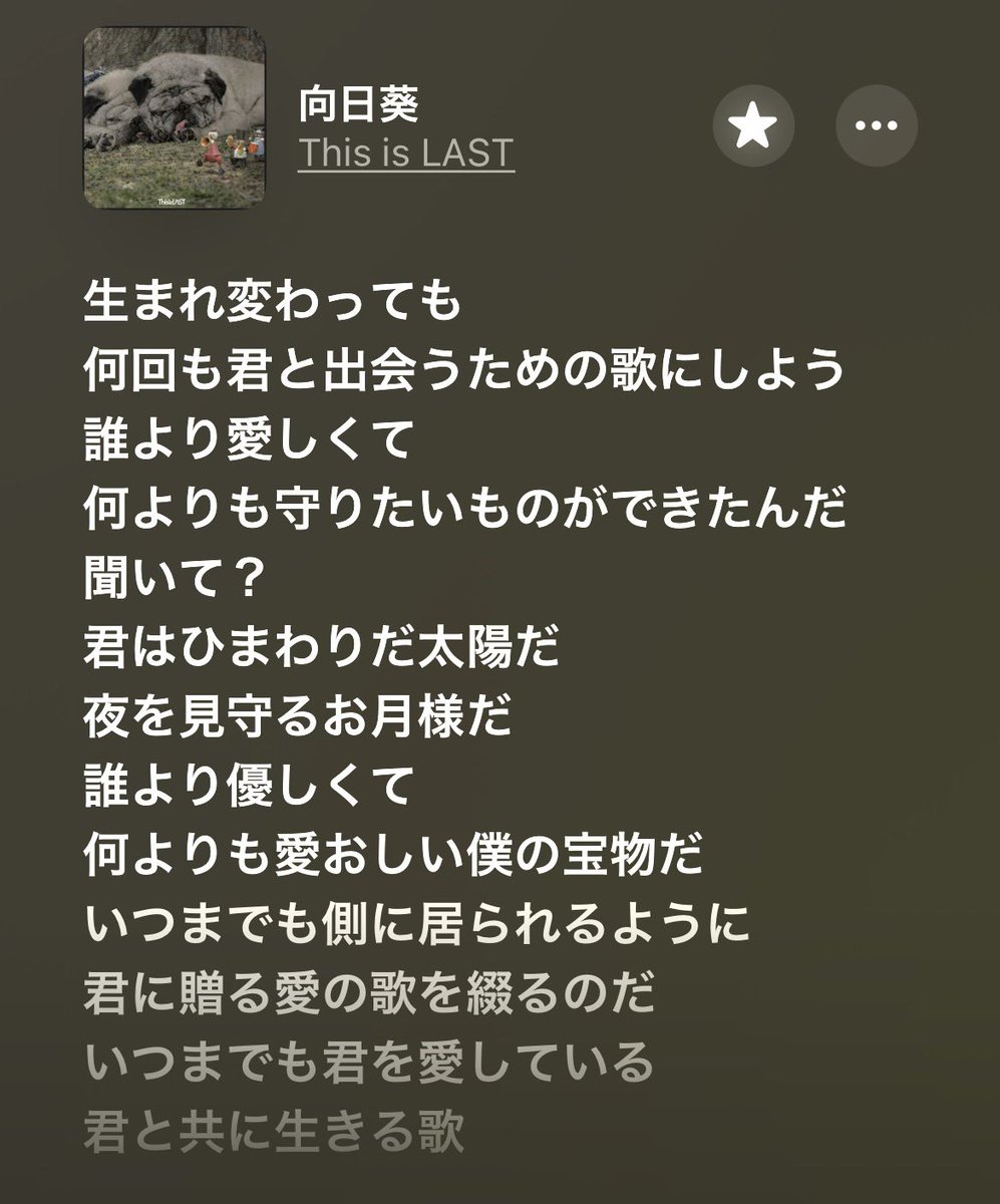 てる / This is LAST tweet media