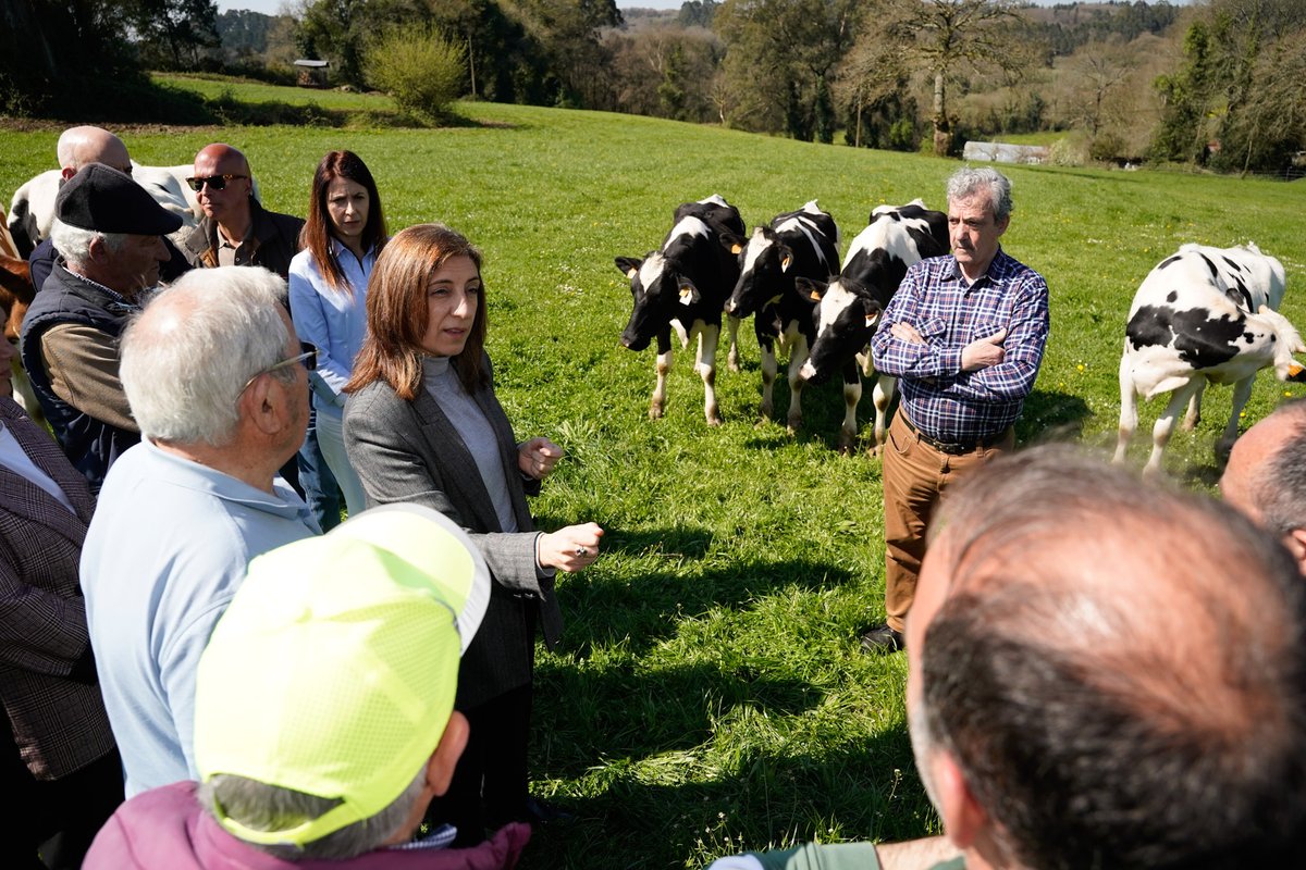 Medio Ambiente e Cambio Climático tweet media