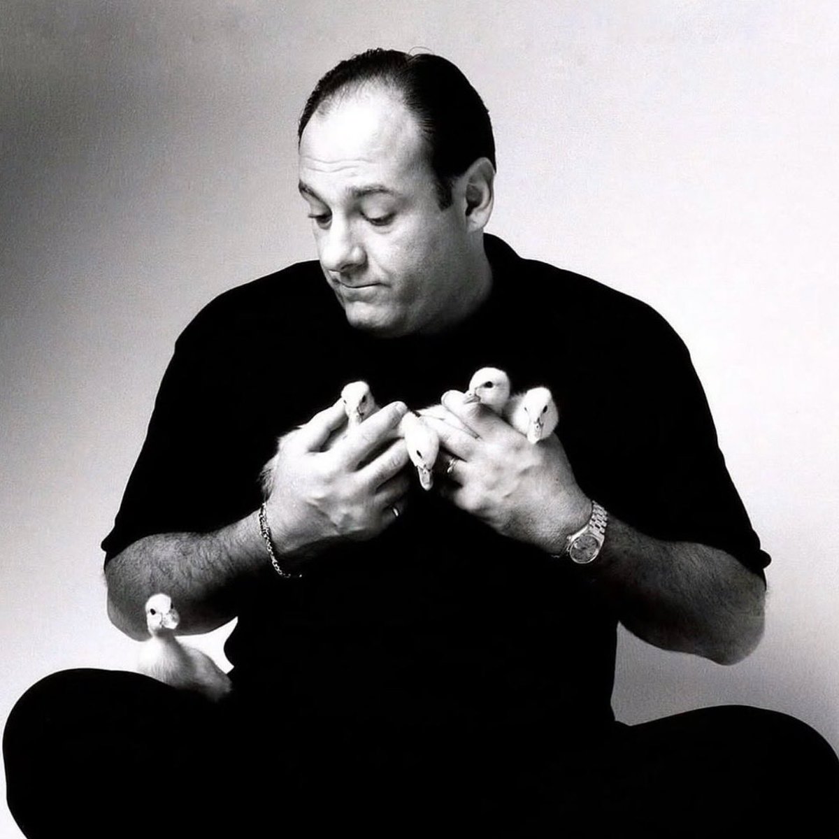 Tony and his ducks.

2006. 📸