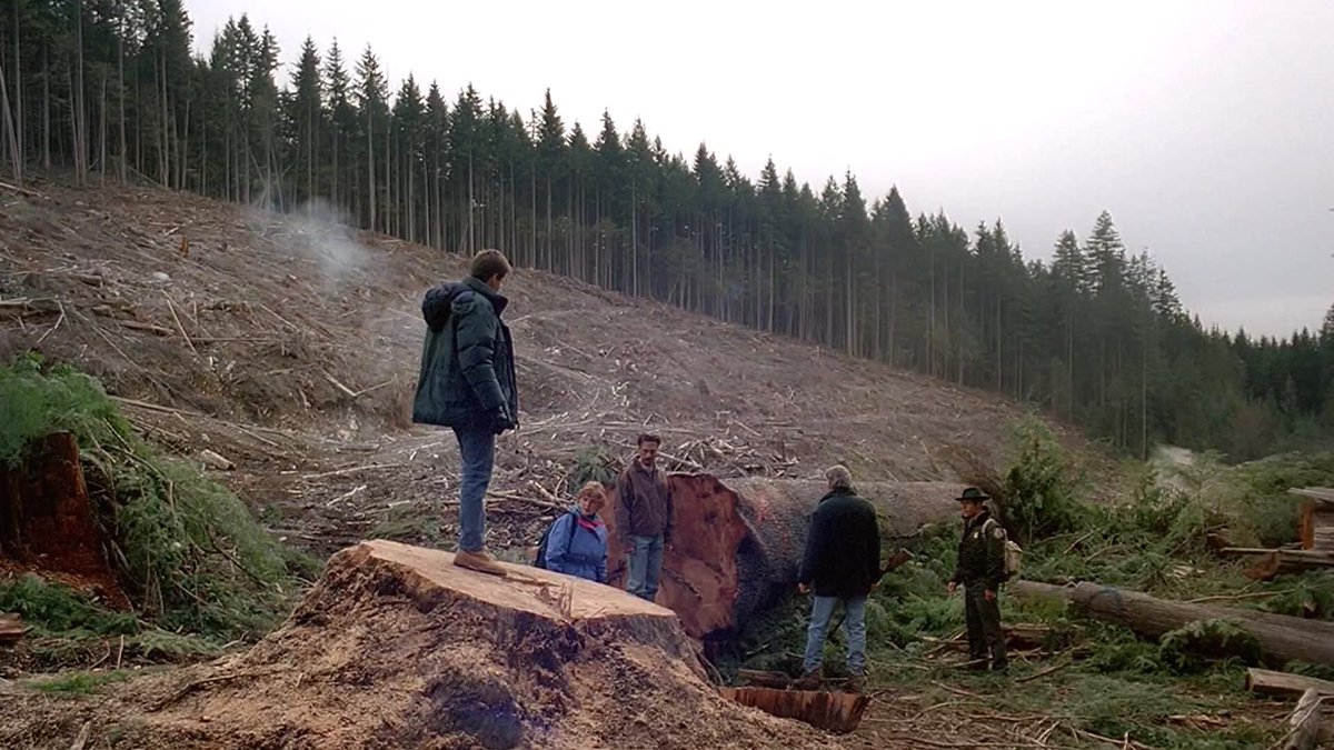 cronicasdeckard's tweet photo. Temp 1 Ep 20 'Darkness Falls'
Unos leñadores empiezan a talar árboles de cientos de años en un bosque milenario. Pero desatan una plaga de insectos que envuelven a sus víctimas en capullos para después usarlo de alimentos. Gran capítulo de #ExpedienteX con buenas dosis de terror https://t.co/Gum1pYFlsT