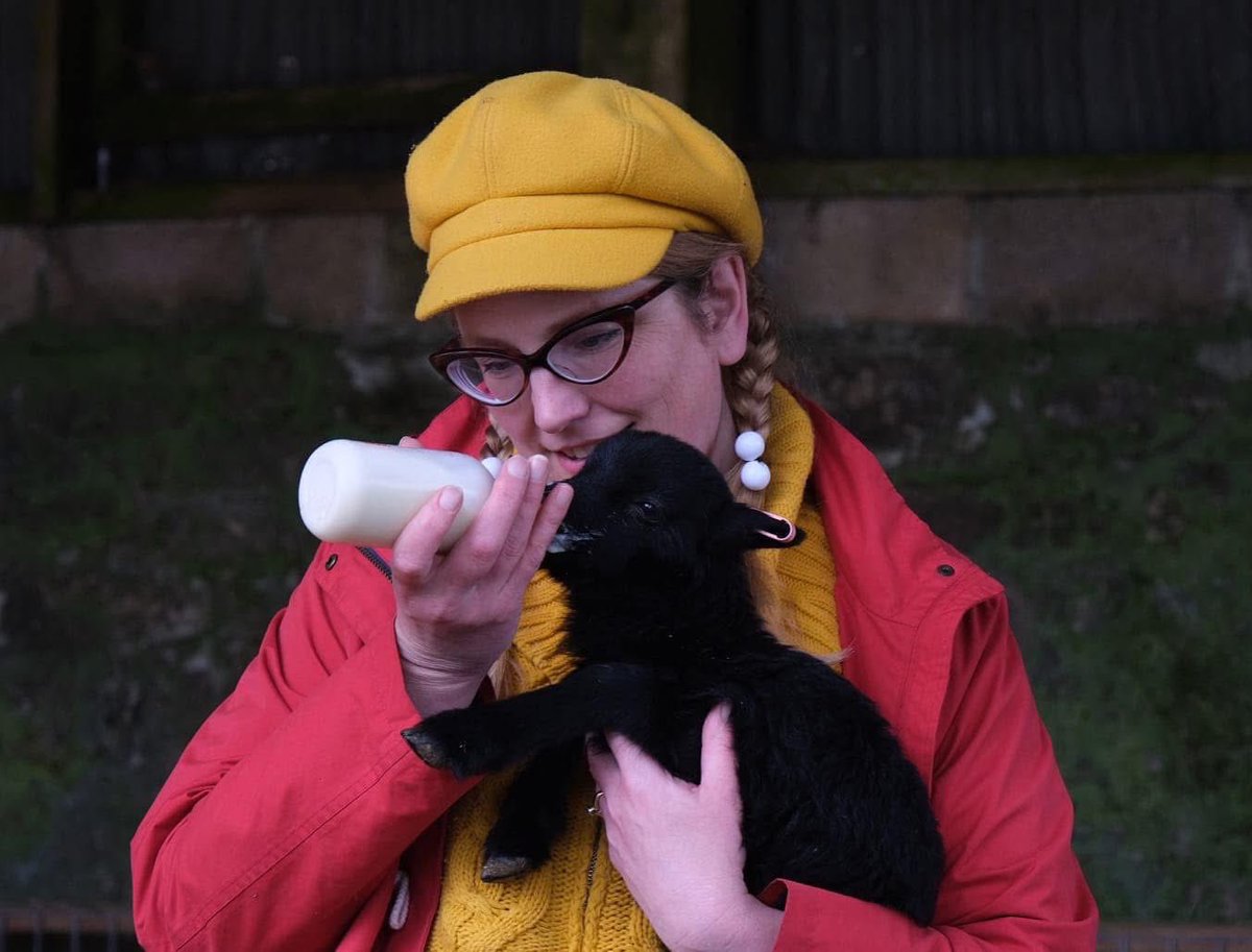 Sarah McIntyre tweet media