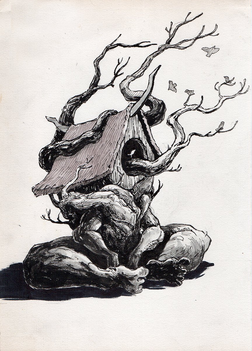 Salasius D tweet media