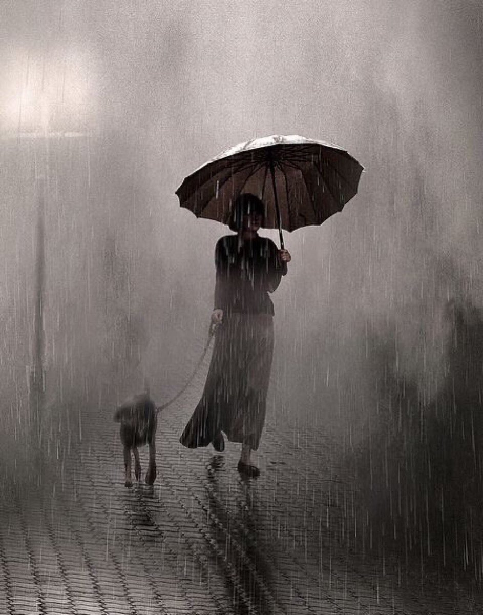 Fco. Robles Bastida tweet media