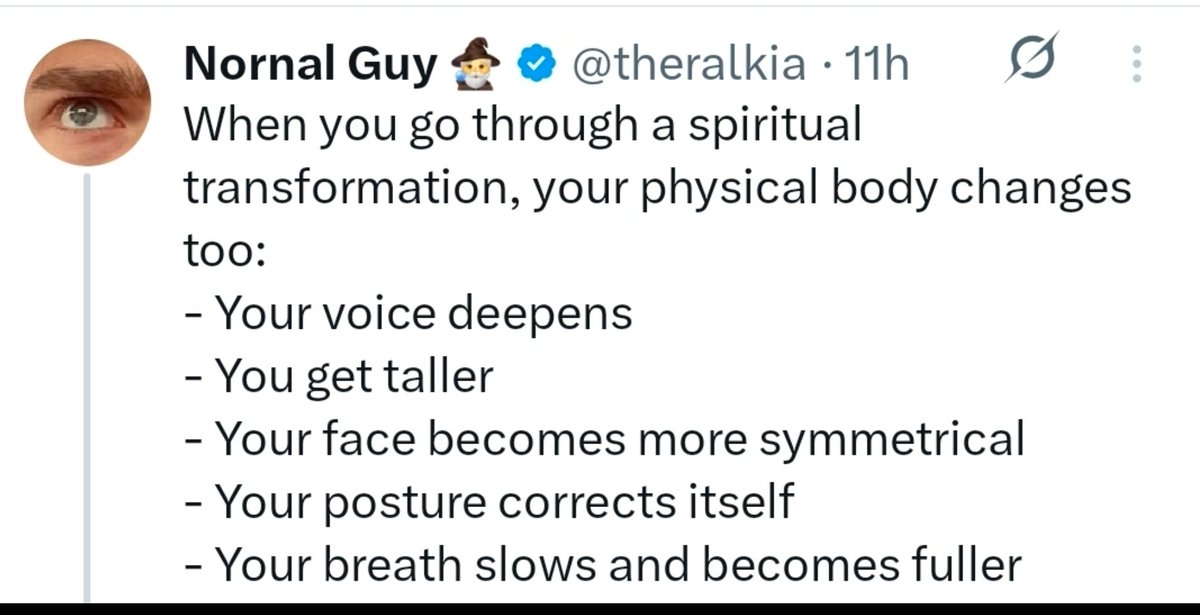 Max Prime tweet media