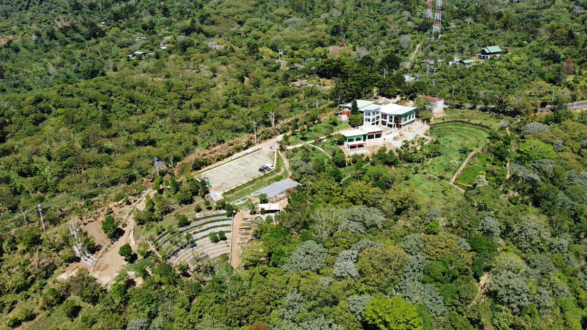 MURPHSLIFE tweet media