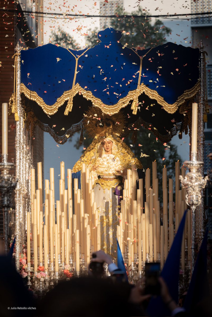 Julio Rebollo 📸 tweet media