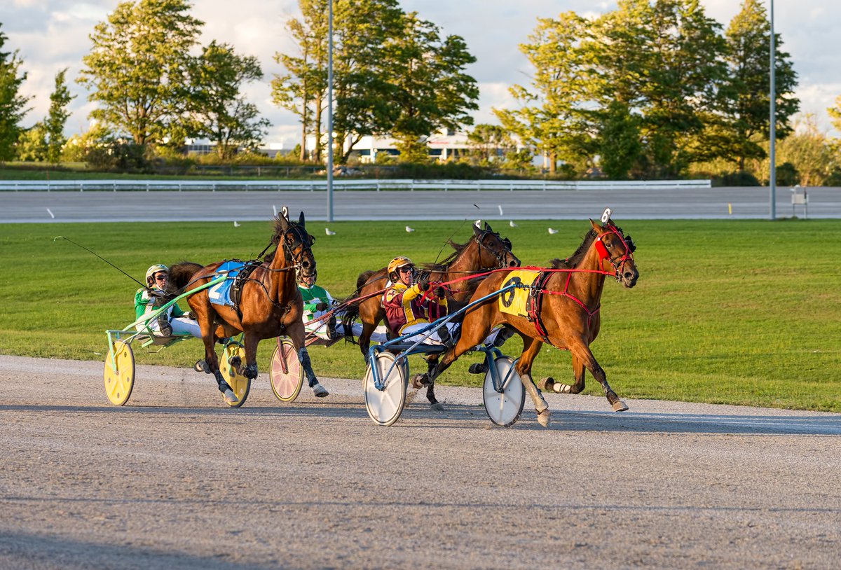 Iron Bets Racing tweet media