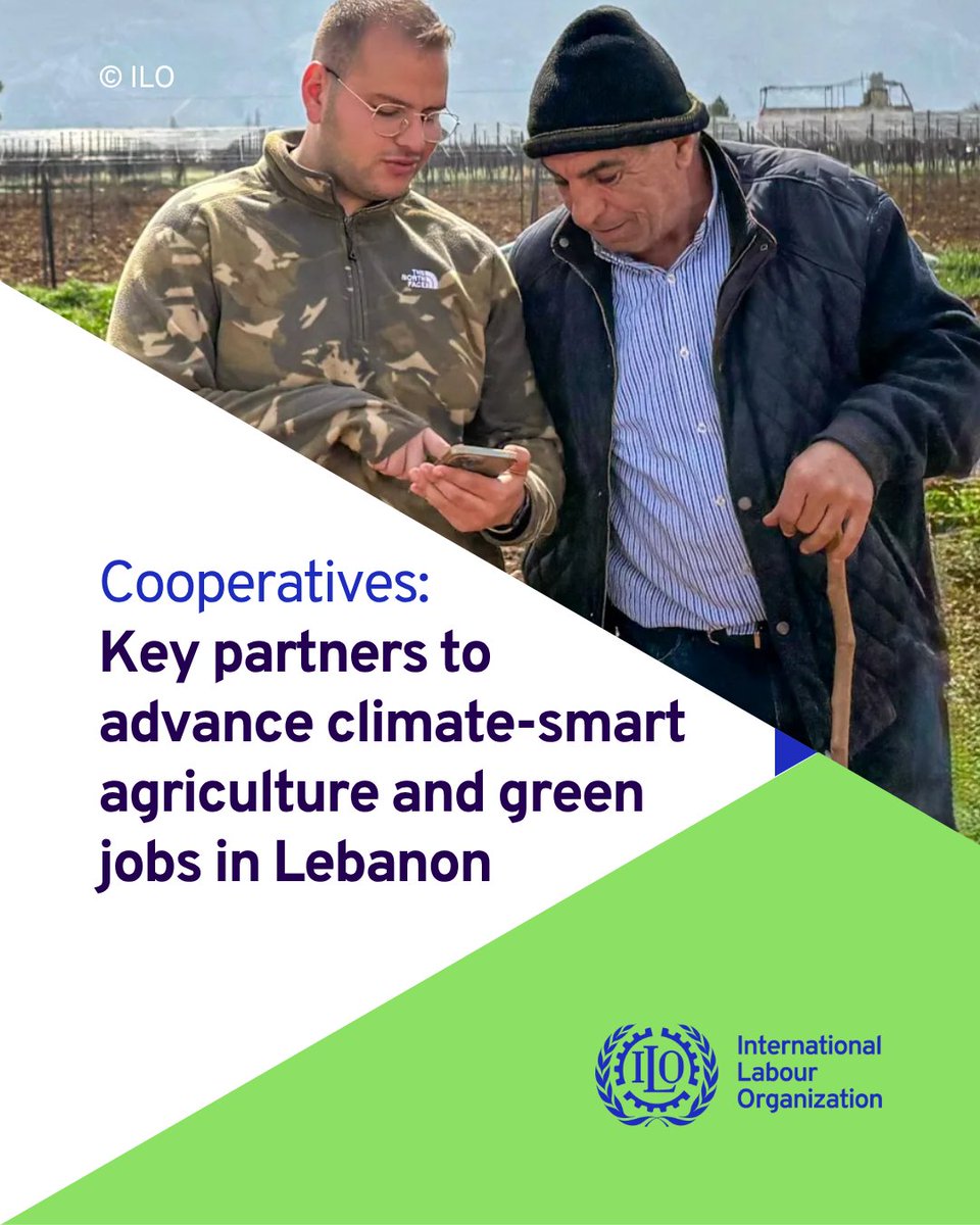 ILO Cooperative, Social and Solidarity Economy tweet media