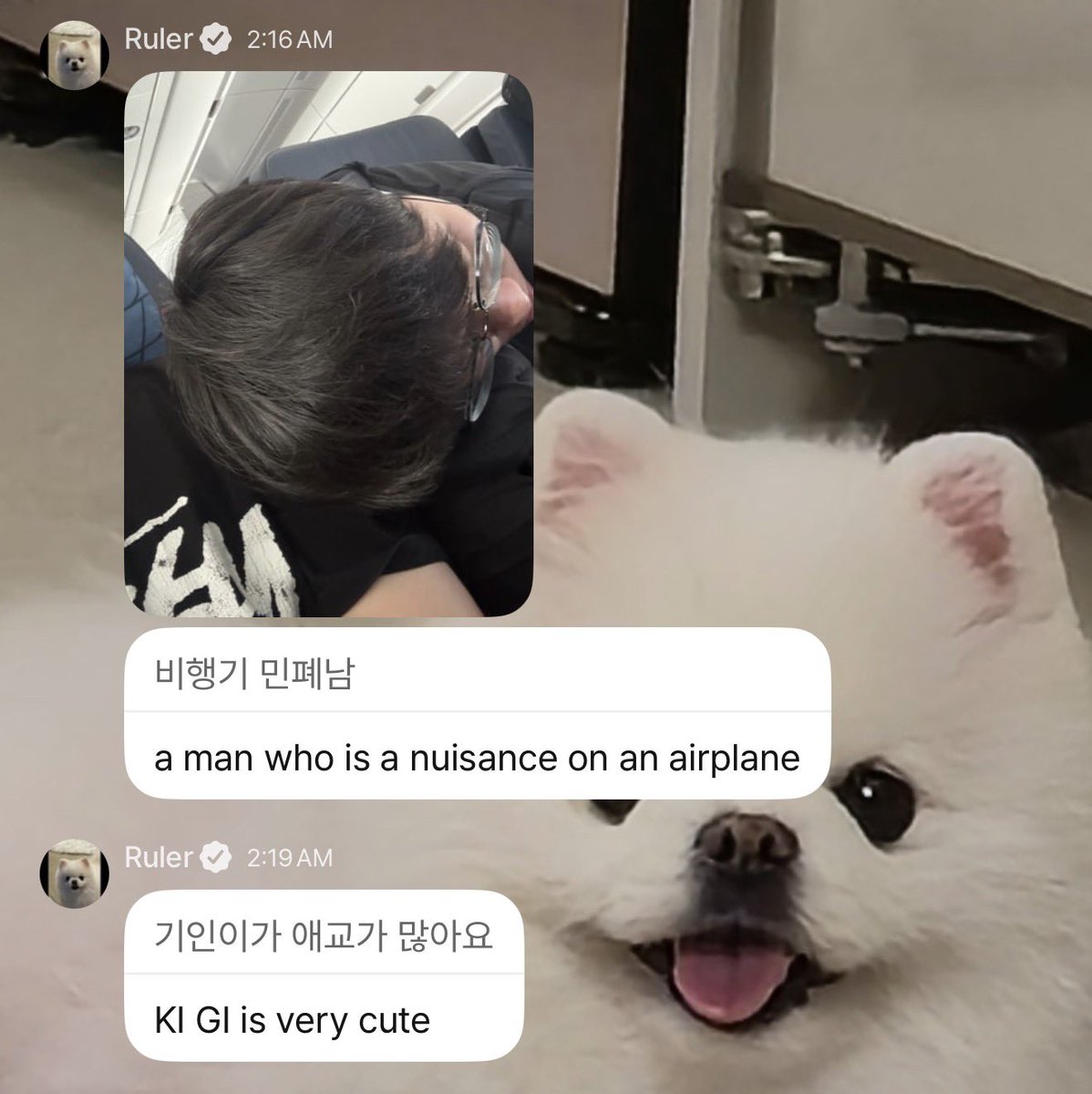 daifukukon tweet media