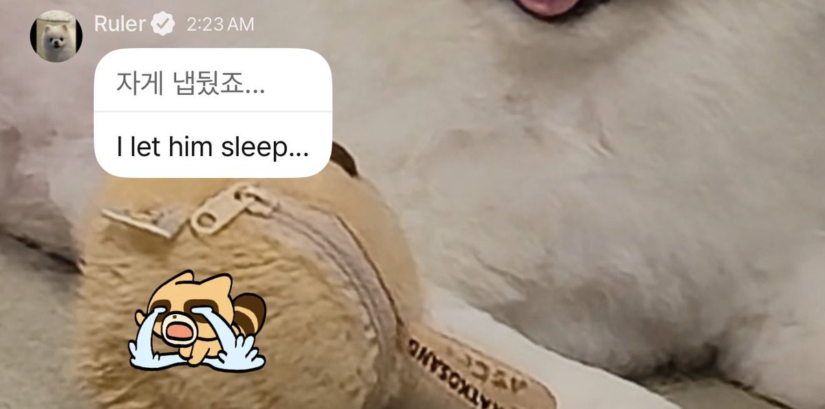 daifukukon tweet media