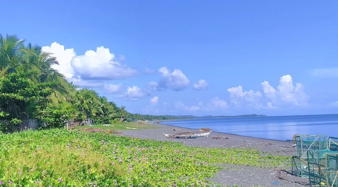 iamnotluna 🎀|🇵🇸 tweet media