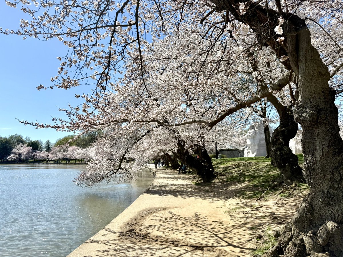 astronaut snoopy tweet media