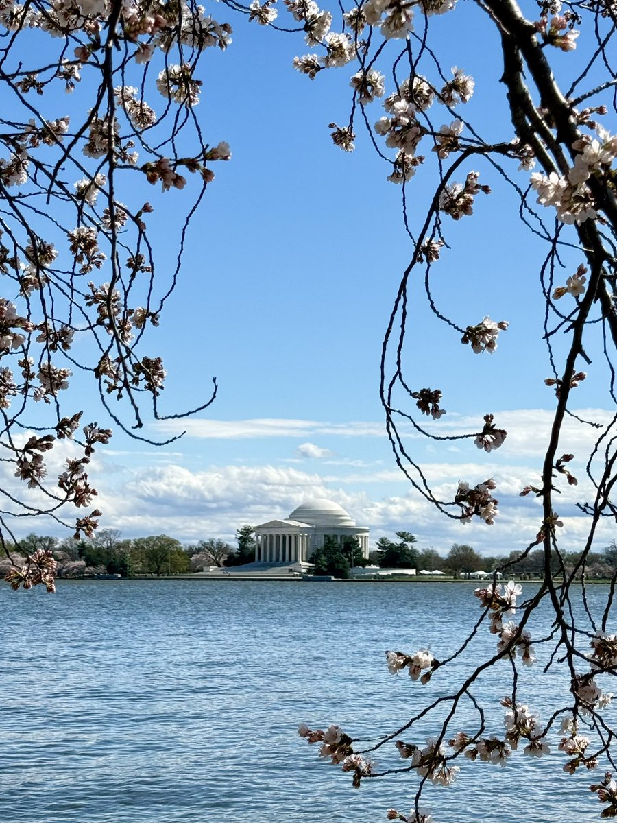 astronaut snoopy tweet media