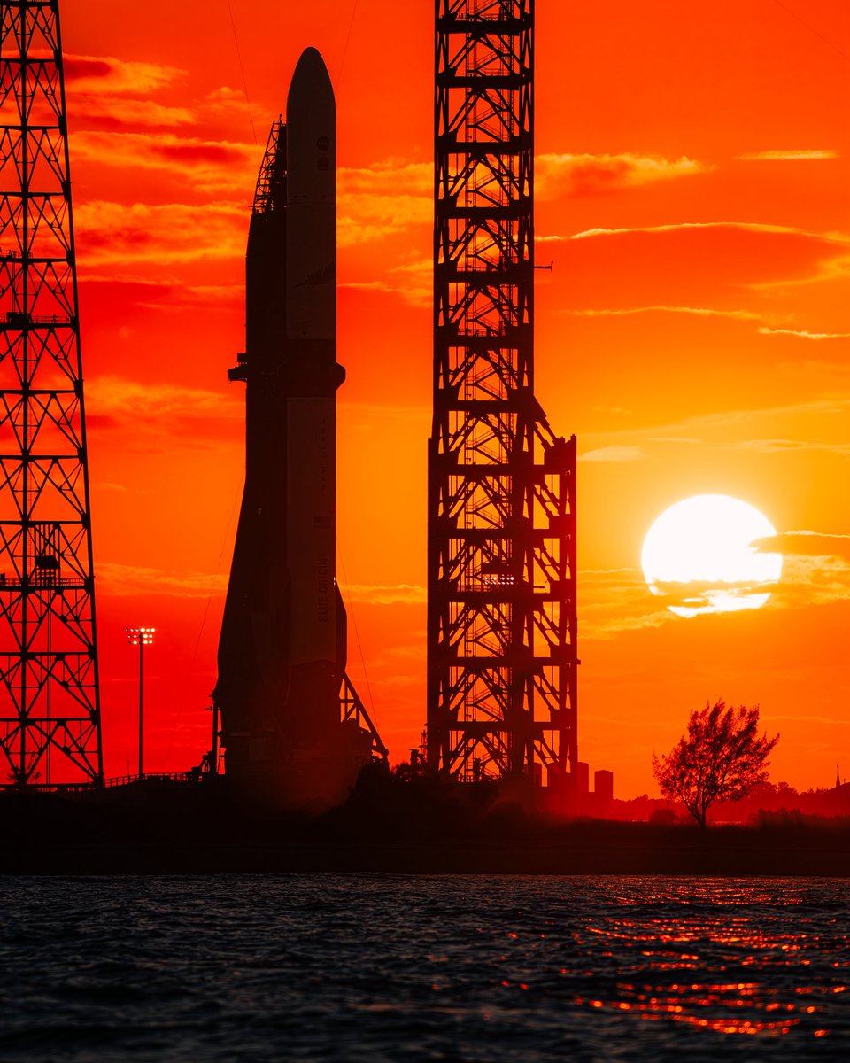 BRANDON M. WYNN tweet media