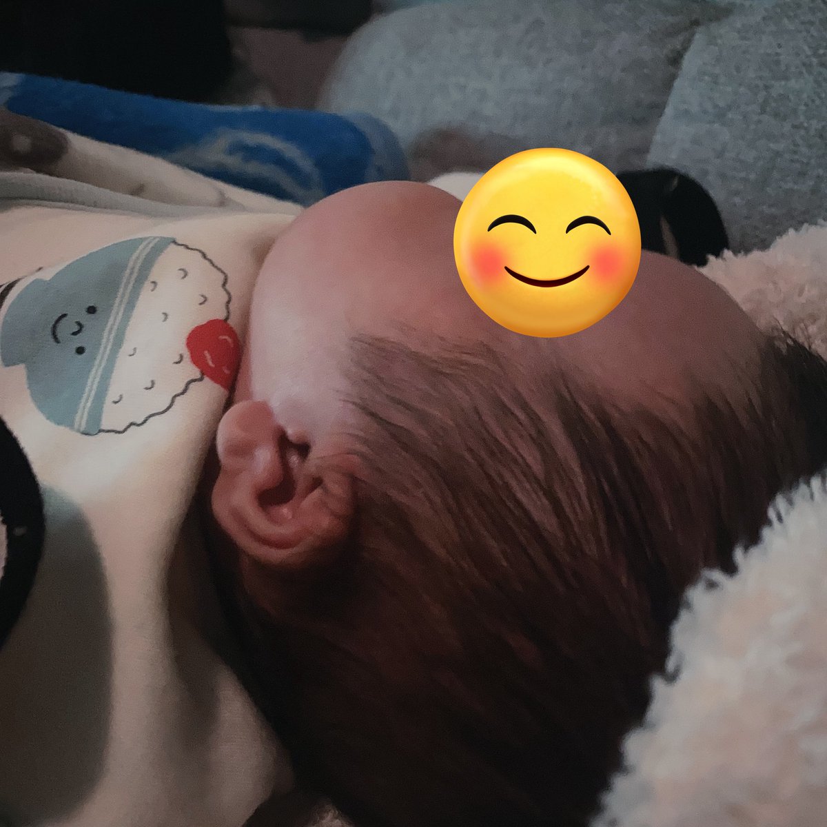 魅黒( ᐛ ) tweet media