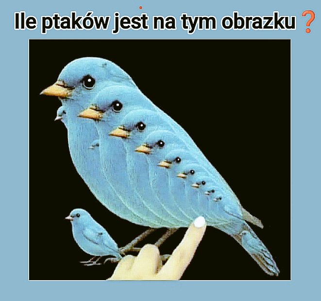 LechuTur tweet media