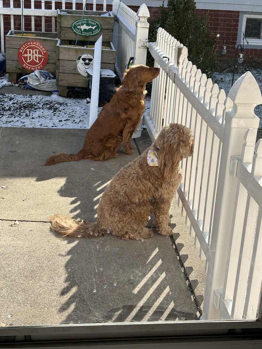 Cooper Jack & Biggie Smalls tweet media